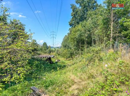 IMG_3918.jpg | Prodej - pozemek, trvalý travní porost, 3 387 m²