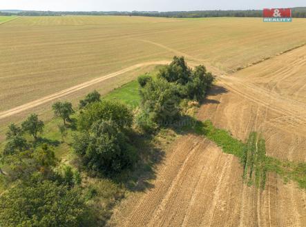 Zahrada | Prodej - pozemek, zahrada, 543 m²