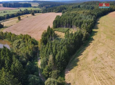 dji_fly_20240901_143210_437_1725194018639_photo.jpg | Prodej - pozemek, les, 1 501 m²