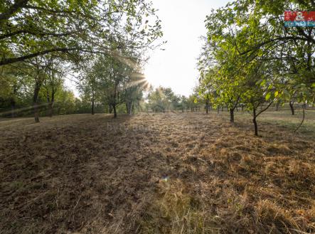 P1013624.jpg | Prodej - pozemek, zemědělská půda, 1 271 m²