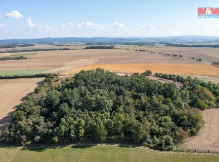 2 (15).jpg | Prodej - pozemek, les, 9 132 m²