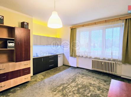 20240909_164637.jpg | Pronájem bytu, 1+kk, 24 m²