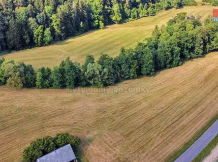 dji_fly_20240907_151740_927_1725729921521_photo_optimized.jpg | Prodej - pozemek, trvalý travní porost, 4 645 m²