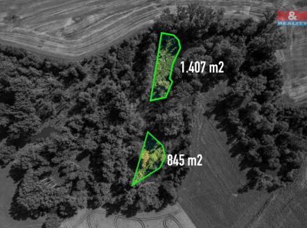 ff.jpg | Prodej - pozemek, les, 2 252 m²