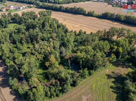 DJI_0821.jpg | Prodej - pozemek, les, 2 252 m²