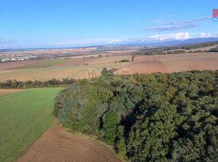 dji_fly_20240925_165434_0035_1727284921254_photo.jpeg | Prodej - pozemek, les, 1 790 m²