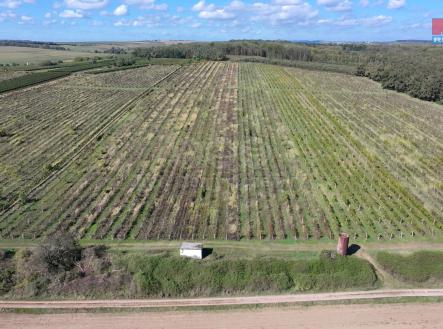 dji_fly_20240925_121450_0011_1727259500670_photo.jpeg | Prodej - pozemek, zemědělská půda, 2 067 m²