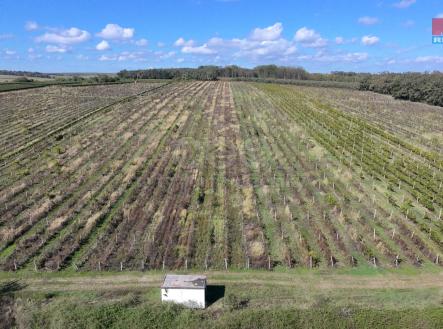 dji_fly_20240925_121416_0008_1727259537366_photo.jpeg | Prodej - pozemek, zemědělská půda, 2 067 m²