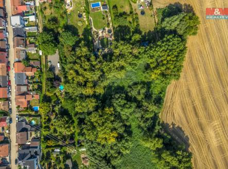 DJI_0683-HDR.jpg | Prodej - pozemek, les, 10 056 m²