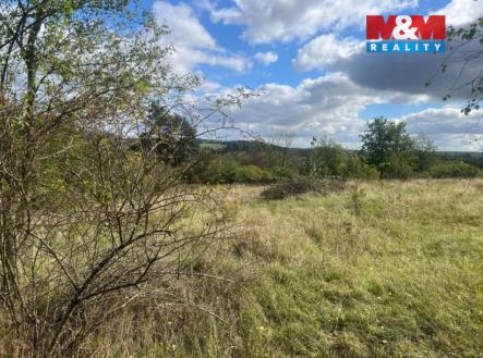 Lešany 4.jpg | Prodej - pozemek, zahrada, 5 897 m²