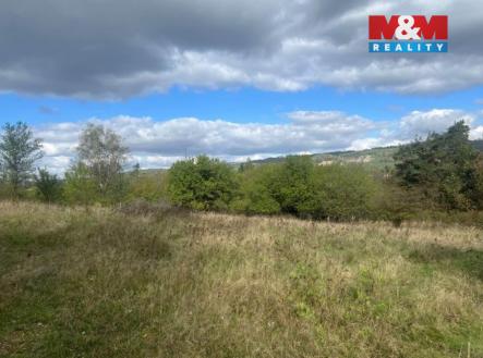 Lešany 2.jpg | Prodej - pozemek, zahrada, 5 897 m²