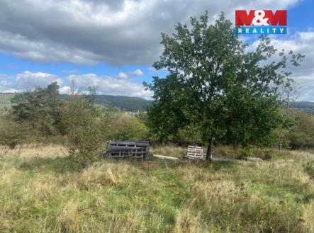 Lešany 3.jpg | Prodej - pozemek, zahrada, 5 897 m²