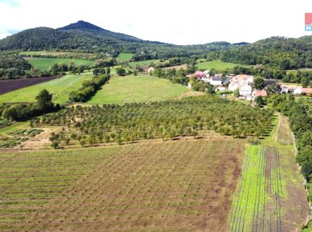 ovocný sad | Prodej - pozemek, zemědělská půda, 40 027 m²