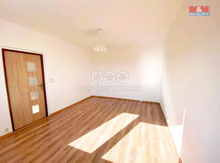 1729067023548.jpg | Pronájem bytu, 1+1, 34 m²