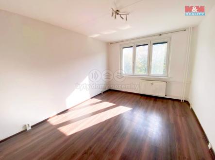 1729067023521.jpg | Pronájem bytu, 1+1, 34 m²