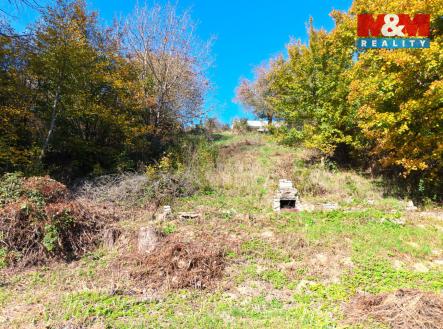 01.jpg | Prodej - pozemek, zahrada, 601 m²