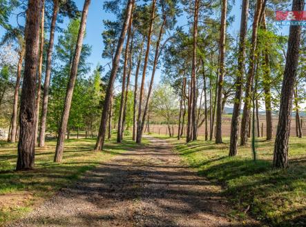 DSC_4438-HDR-instagram.jpg | Prodej - pozemek pro bydlení, 3 304 m²