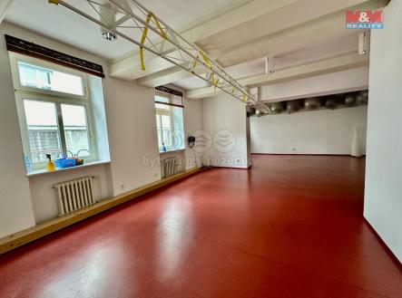 Cvičebna 1.patro | Pronájem - obchodní prostor, 265 m²