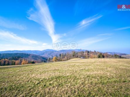 1-ZooDSC_5127.jpg | Prodej - pozemek, trvalý travní porost, 15 730 m²