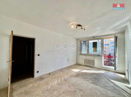 IMG-20241019-WA0003.jpg | Pronájem bytu, 1+1, 42 m²