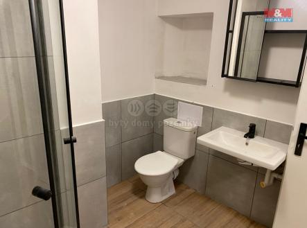 IMG-20241112-WA0013 (1).jpg | Pronájem bytu, 2+kk, 60 m²