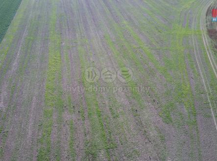 7737468_100PTCAM_SING0167.JPG | Prodej - pozemek, zemědělská půda, 3 668 m²