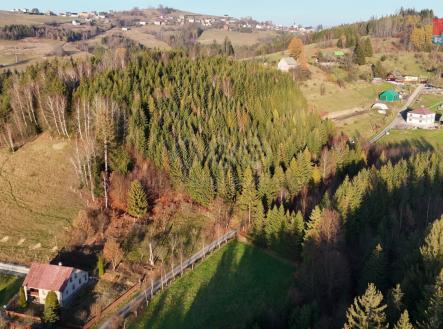 DJI_20241117151435_0003_D - frame at 0m31s~2.jpg | Prodej - pozemek, trvalý travní porost, 1 120 m²