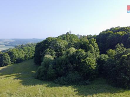 . | Prodej - pozemek pro bydlení, 5 600 m²