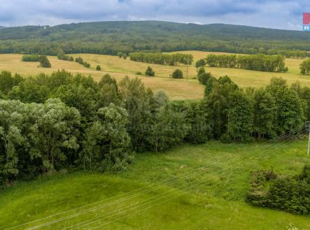 008.jpg | Prodej - pozemek, trvalý travní porost, 4 178 m²