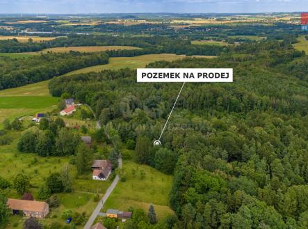 Pozemek | Prodej - pozemek, les, 3 376 m²