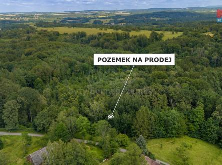 Pozemek | Prodej - pozemek, les, 3 376 m²