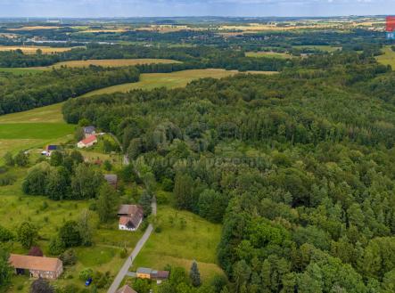Pozemek | Prodej - pozemek, les, 3 376 m²