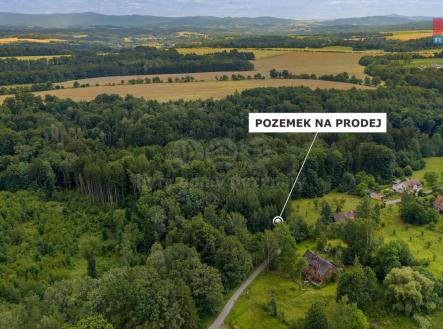 Pozemek | Prodej - pozemek, les, 3 376 m²