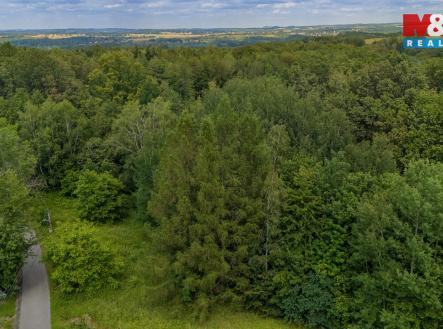 Pozemek | Prodej - pozemek, trvalý travní porost, 3 376 m²