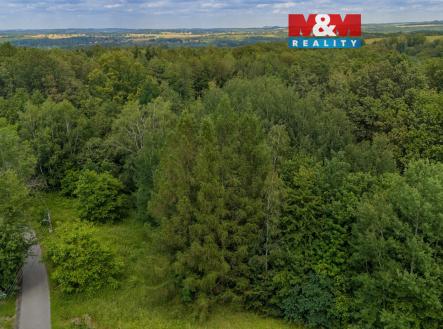 Pozemek | Prodej - pozemek, trvalý travní porost, 3 376 m²