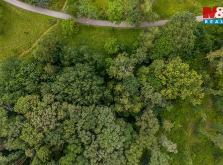 Pozemek | Prodej - pozemek, trvalý travní porost, 3 376 m²