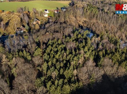 006.jpg | Prodej - pozemek, trvalý travní porost, 3 376 m²