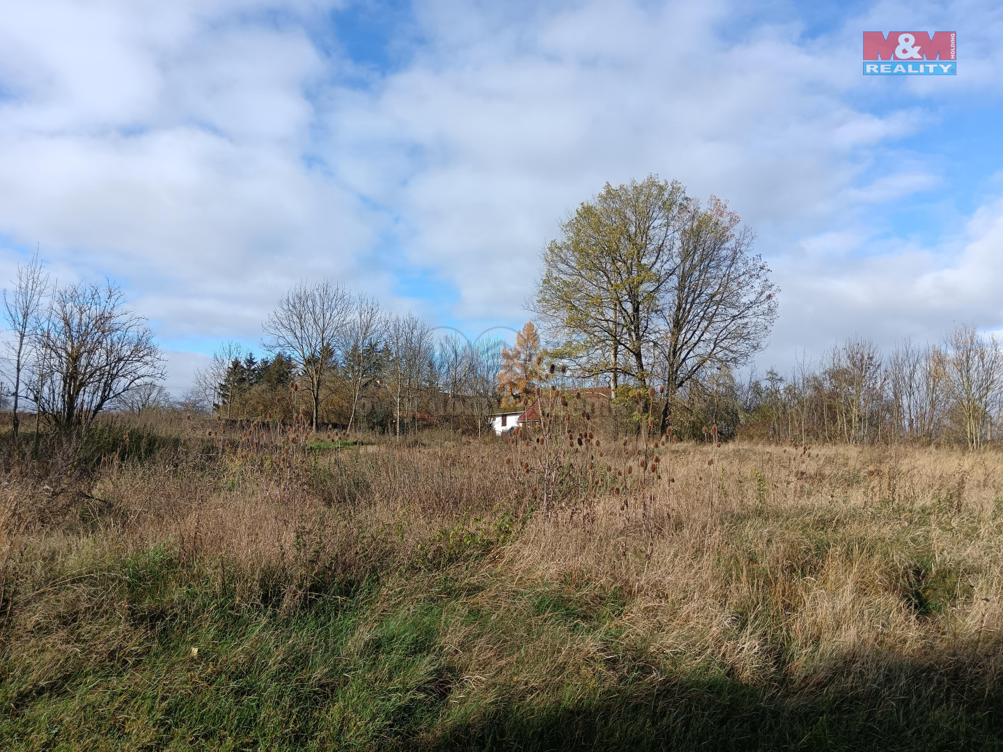 IMG_20241120_105955-min.jpg