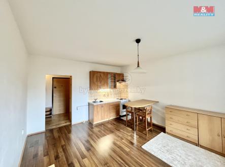 Obývací pokoj s kuchyňským koutem  | Pronájem bytu, 2+kk, 45 m²