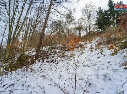 DSC08174.jpg | Prodej - pozemek, zahrada, 2 180 m²