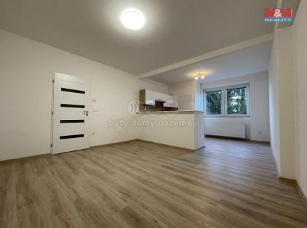 IMG_3544.jpg | Pronájem bytu, 2+kk, 58 m²