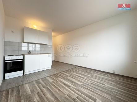 IMG_2217.jpg | Pronájem bytu, 1+1, 36 m²