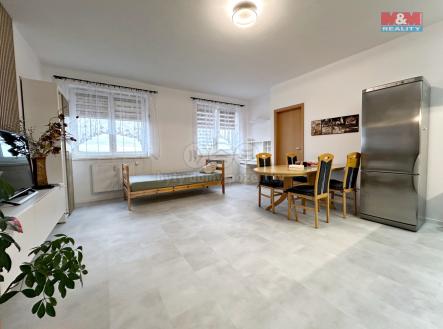 IMG_2699.jpg | Pronájem bytu, 2+kk, 55 m²