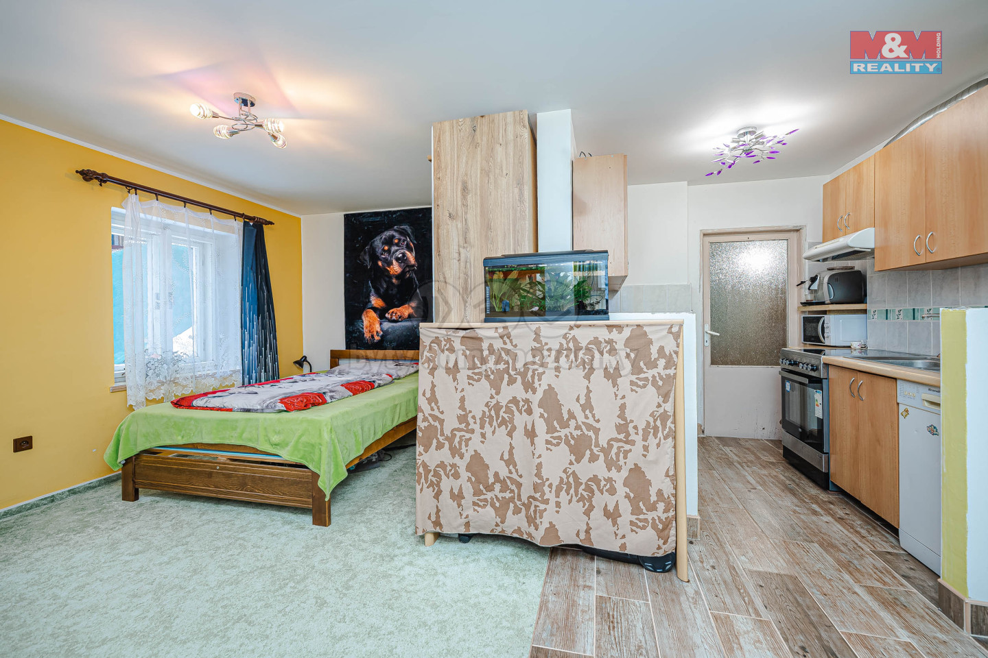 DSC_5273-Edit.jpg