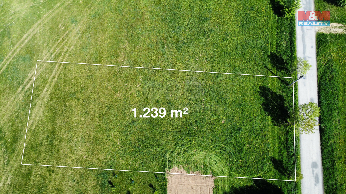 dji_fly_20250430_103158_323_1746001938304_photo_optimized.jpg