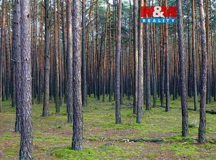 marta_e_498330.jpg | Prodej - pozemek, les, 6 740 m²