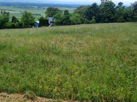 20250519_165202.jpg | Prodej - pozemek, zemědělská půda, 1 419 m²