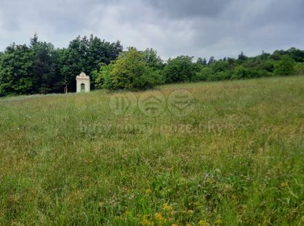 20250519_165240.jpg | Prodej - pozemek, zemědělská půda, 1 419 m²