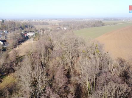 DJI_0318.jpg | Prodej - pozemek, les, 4 916 m²