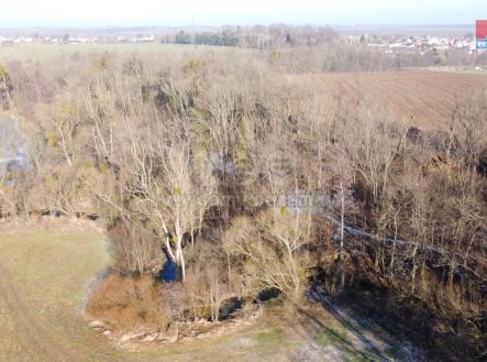 DJI_0375.jpg | Prodej - pozemek, les, 2 716 m²